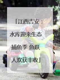 江西吉安：水库迎来生态捕鱼季 鱼跃人欢获丰收