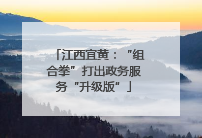 江西宜黄：“组合拳”打出政务服务“升级版”