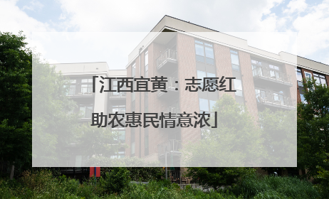 江西宜黄：志愿红助农惠民情意浓