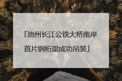 池州长江公铁大桥南岸首片钢桁梁成功吊装