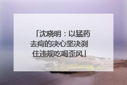 沈晓明：以猛药去疴的决心坚决刹住违规吃喝歪风