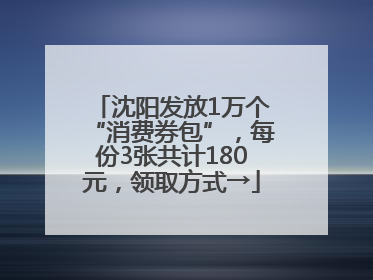 沈阳发放1万个“消费券包”，每份3张共计180元，领取方式→
