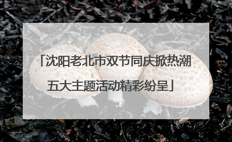 沈阳老北市双节同庆掀热潮 五大主题活动精彩纷呈