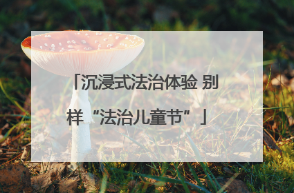 沉浸式法治体验 别样“法治儿童节”