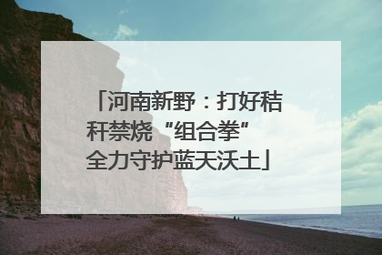 河南新野：打好秸秆禁烧“组合拳” 全力守护蓝天沃土