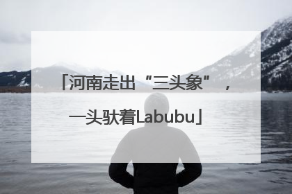 河南走出“三头象”，一头驮着Labubu