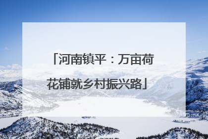 河南镇平：万亩荷花铺就乡村振兴路