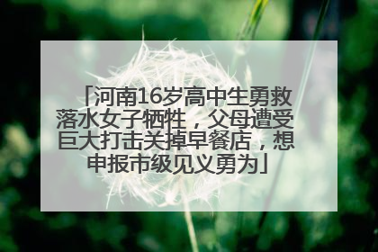 河南16岁高中生勇救落水女子牺牲，父母遭受巨大打击关掉早餐店，想申报市级见义勇为