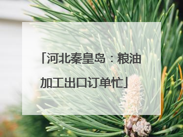 河北秦皇岛：粮油加工出口订单忙