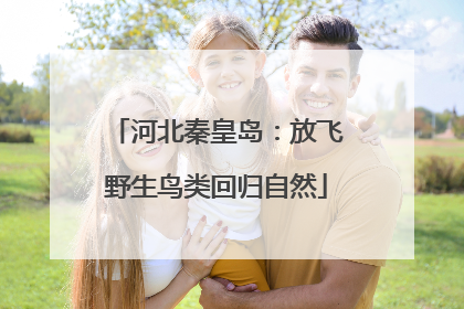 河北秦皇岛：放飞野生鸟类回归自然