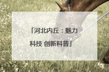 河北内丘：魅力科技 创新科普