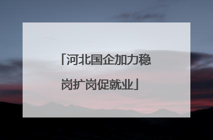 河北国企加力稳岗扩岗促就业