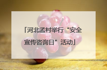 河北孟村举行“安全宣传咨询日”活动