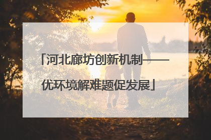 河北廊坊创新机制——优环境解难题促发展