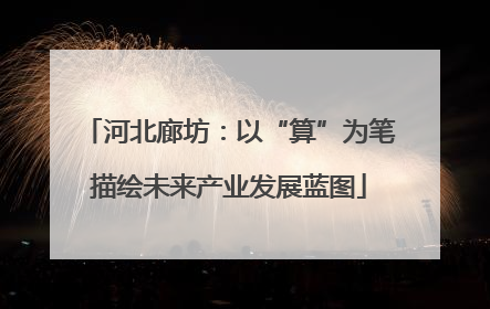 河北廊坊：以“算”为笔描绘未来产业发展蓝图