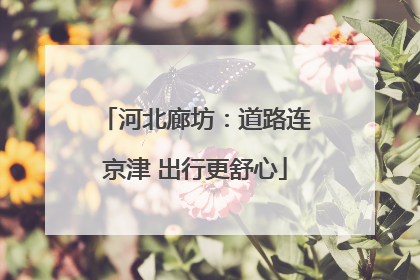 河北廊坊：道路连京津 出行更舒心