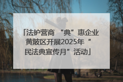 法护营商 “典”惠企业 黄陂区开展2025年“民法典宣传月”活动