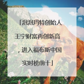 泡泡玛特创始人王宁财富再创新高，进入福布斯中国实时榜前十