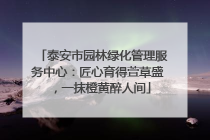 泰安市园林绿化管理服务中心：匠心育得萱草盛，一抹橙黄醉人间