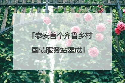 泰安首个齐鲁乡村国债服务站建成