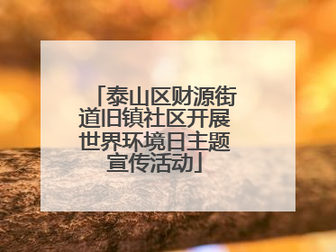 泰山区财源街道旧镇社区开展世界环境日主题宣传活动