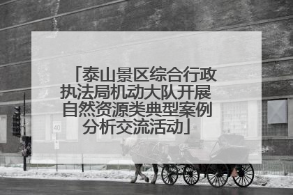 泰山景区综合行政执法局机动大队开展自然资源类典型案例分析交流活动