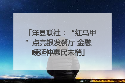 洋县联社：“红马甲”点亮银发餐厅 金融暖延伸惠民末梢