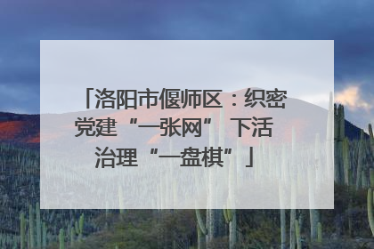 洛阳市偃师区：织密党建“一张网” 下活治理“一盘棋”