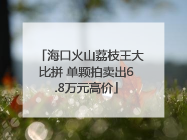 海口火山荔枝王大比拼 单颗拍卖出6.8万元高价