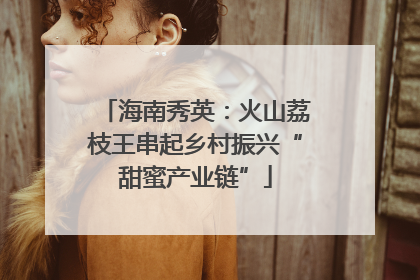海南秀英：火山荔枝王串起乡村振兴“甜蜜产业链”