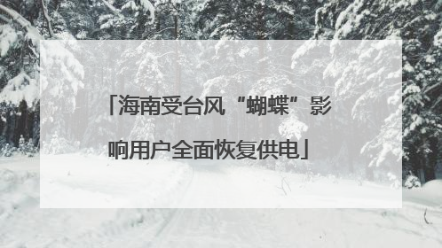海南受台风“蝴蝶”影响用户全面恢复供电