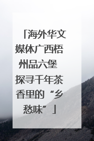 海外华文媒体广西梧州品六堡 探寻千年茶香里的“乡愁味”