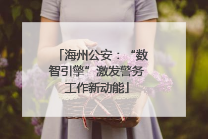 海州公安：“数智引擎”激发警务工作新动能