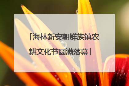 海林新安朝鲜族镇农耕文化节圆满落幕