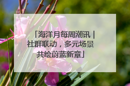 海洋月每周潮讯｜社群联动，多元场景共绘蔚蓝新章