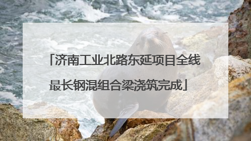 济南工业北路东延项目全线最长钢混组合梁浇筑完成