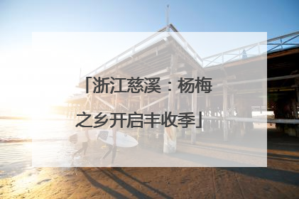 浙江慈溪：杨梅之乡开启丰收季