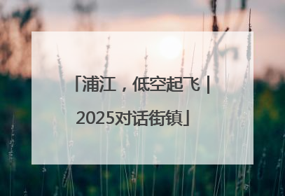 浦江，低空起飞｜2025对话街镇