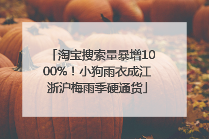 淘宝搜索量暴增1000%！小狗雨衣成江浙沪梅雨季硬通货