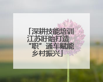 深耕技能培训 江苏盱眙打造“职”通车赋能乡村振兴