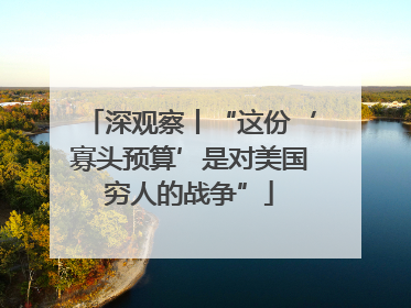 深观察丨“这份‘寡头预算’是对美国穷人的战争”