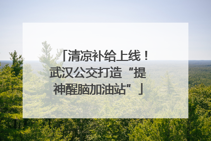清凉补给上线！武汉公交打造“提神醒脑加油站”