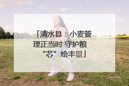 清水县：小麦管理正当时 守护粮“芯”绘丰景
