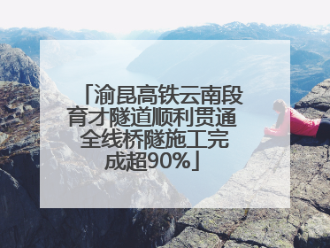 渝昆高铁云南段育才隧道顺利贯通 全线桥隧施工完成超90%