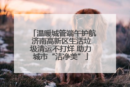 温暖城管端午护航 济南高新区生活垃圾清运不打烊 助力城市“洁净美”