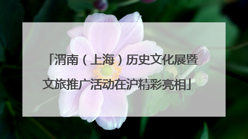 渭南（上海）历史文化展暨文旅推广活动在沪精彩亮相