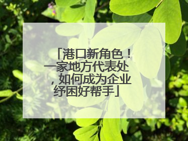 港口新角色！一家地方代表处，如何成为企业纾困好帮手