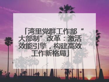 湾里党群工作部“大部制”改革：激活效能引擎，构建高效工作新格局
