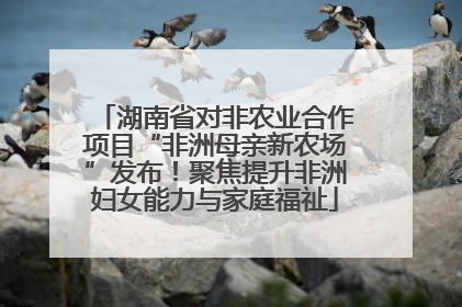 湖南省对非农业合作项目“非洲母亲新农场”发布！聚焦提升非洲妇女能力与家庭福祉
