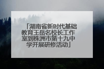 湖南省新时代基础教育王岳名校长工作室到株洲市第十九中学开展研修活动